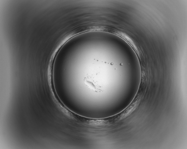 X0000096200859200801181339