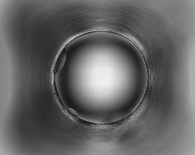 X0000096200862200801181339