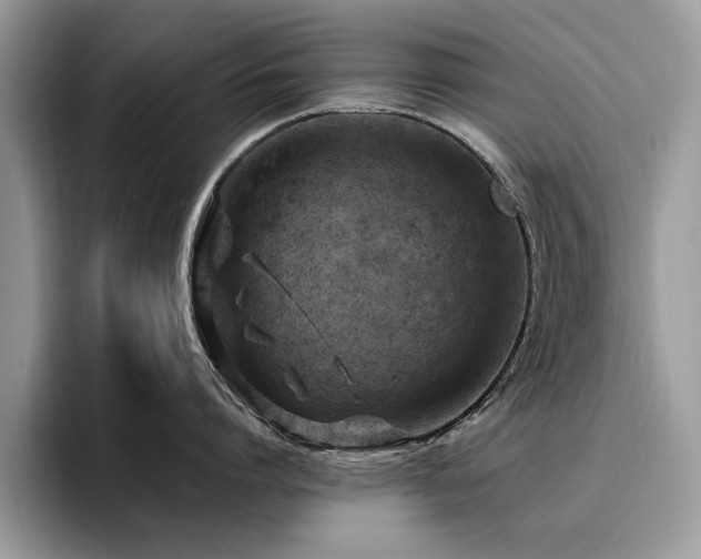 X0000096200864200801181340