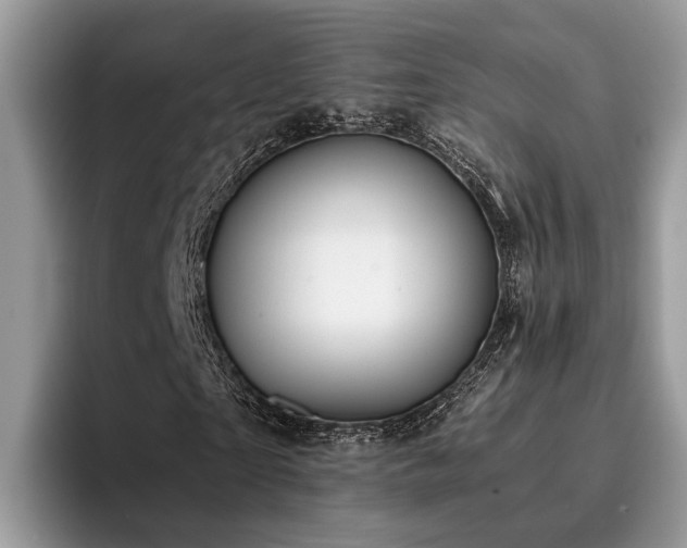 X0000096200865200801181339