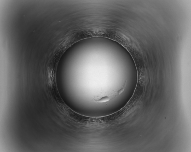 X0000096200866200801181339