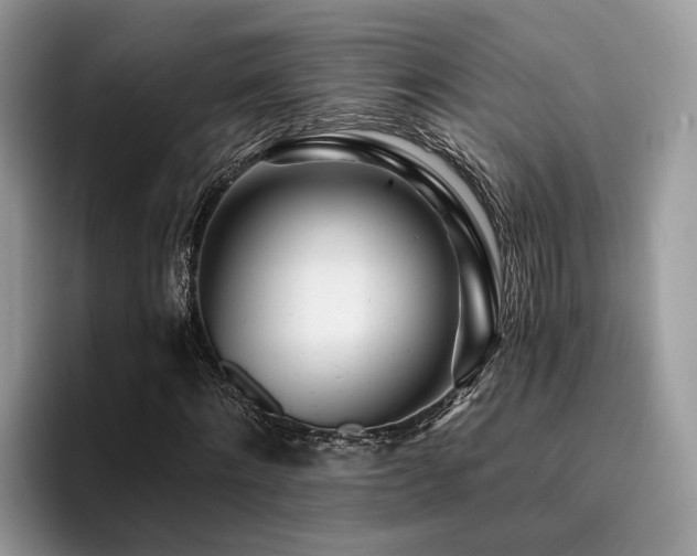 X0000096200868200801181339