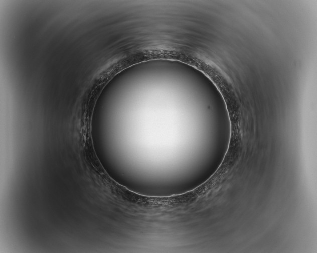 X0000096200870200801181339