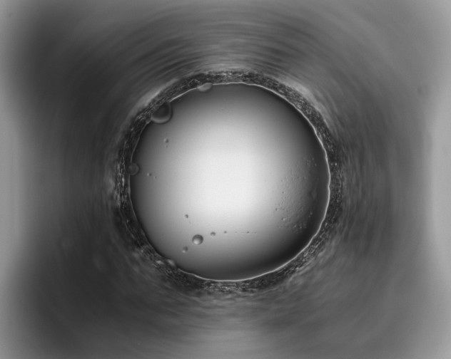X0000096200871200801181339