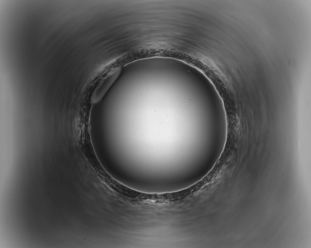 X0000096200872200801181339