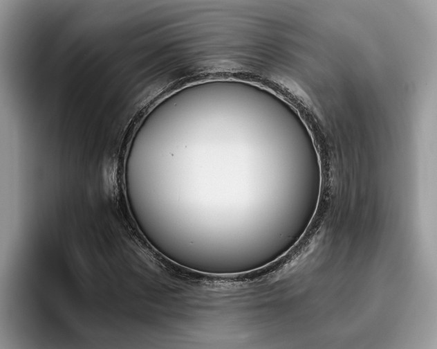 X0000096200873200801181339