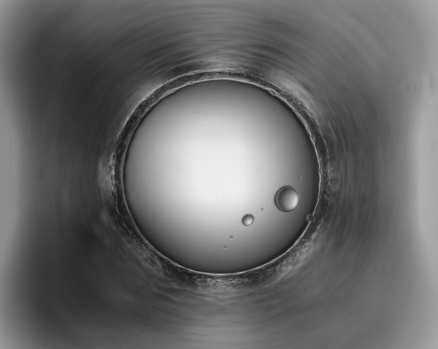 X0000096200875200801181339