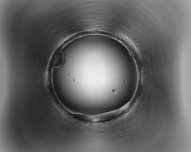 X0000096200876200801181339