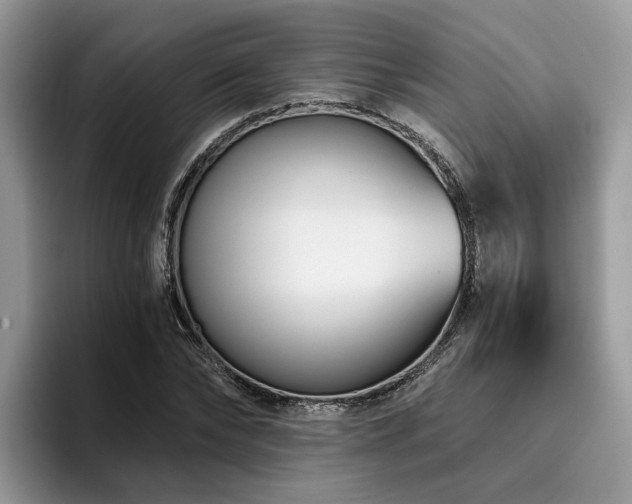X0000096200878200801181339