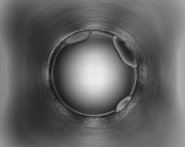 X0000096200880200801181339
