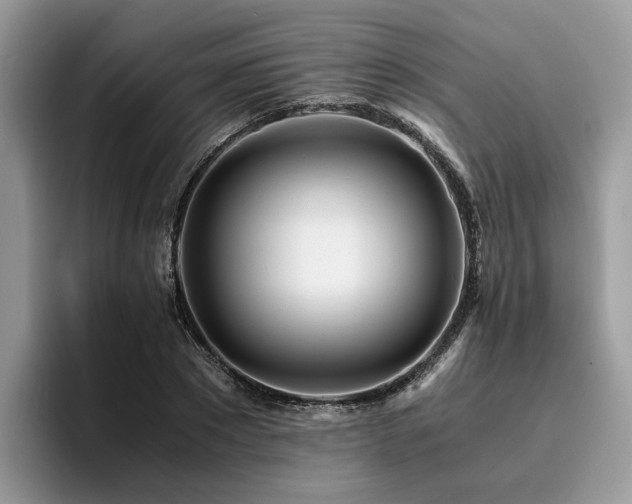 X0000096200881200801181339