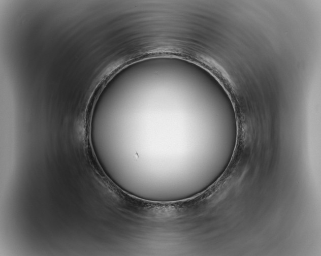 X0000096200882200801181339