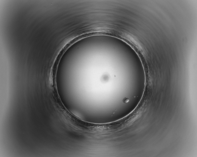 X0000096200883200801181339