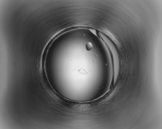 X0000096200884200801181339