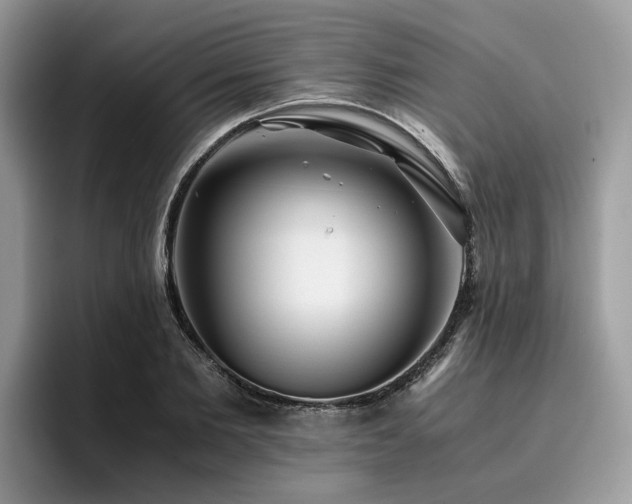 X0000096200885200801181339