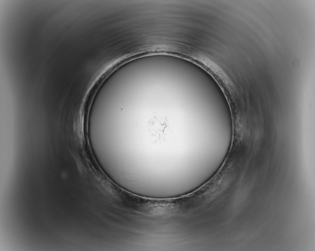 X0000096200886200801181339