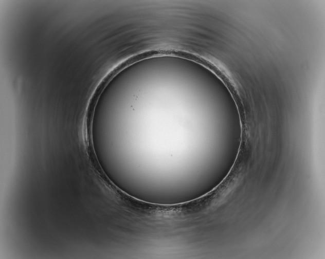 X0000096200887200801181339