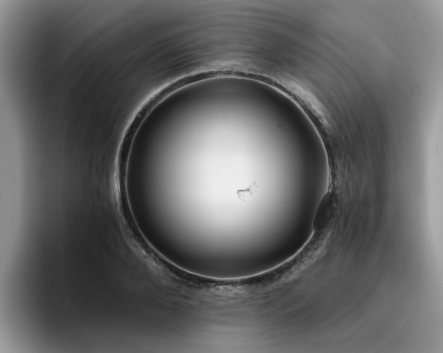 X0000096200888200801181339