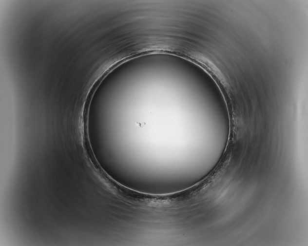 X0000096200890200801181339