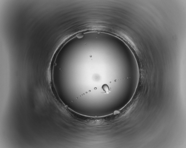 X0000096200891200801181339