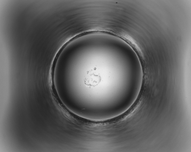 X0000096200892200801181339