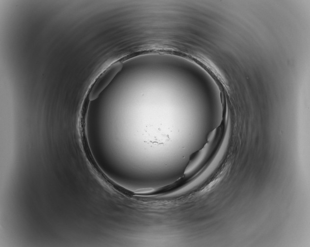 X0000096200893200801181339