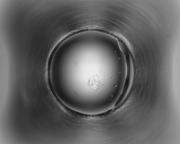 X0000096200894200801181339