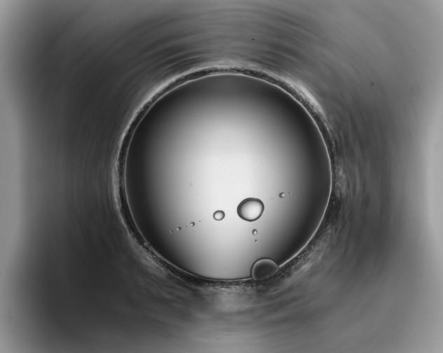 X0000096200895200801181339