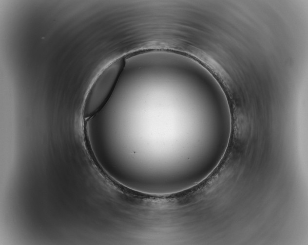 X0000096200896200801181338