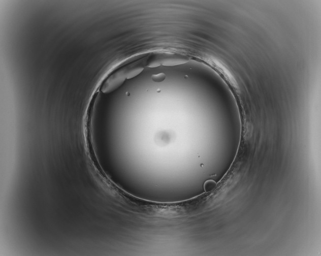 X0000096200899200801181338