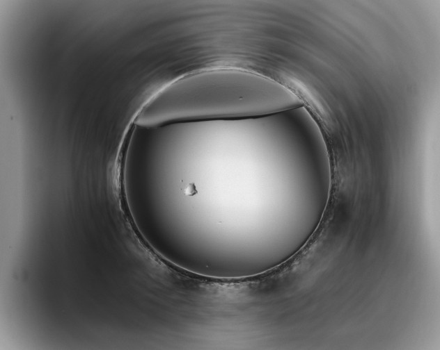 X0000096200900200801181338