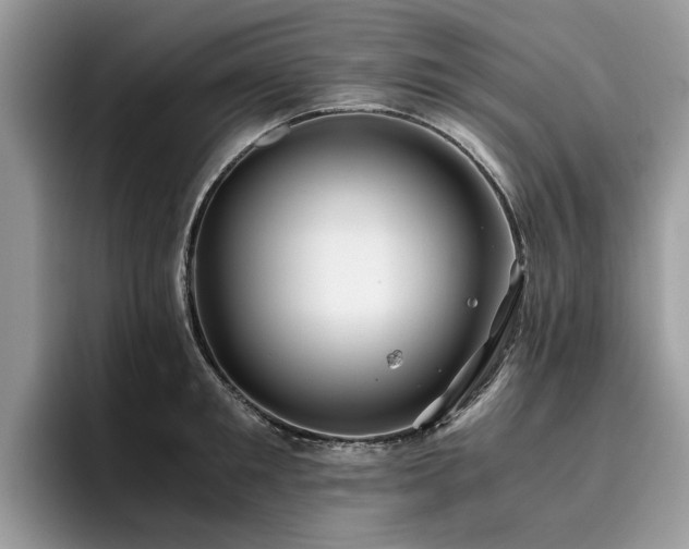 X0000096200901200801181338