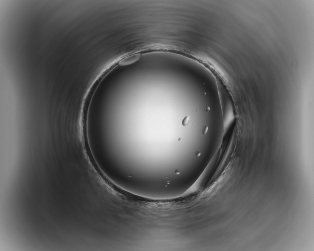 X0000096200902200801181338