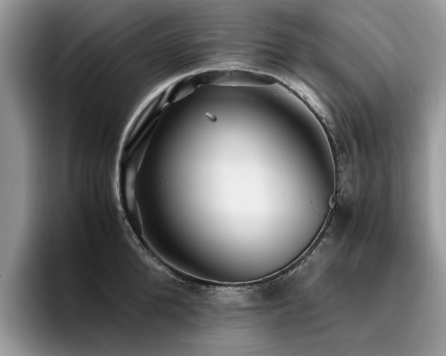 X0000096200904200801181338