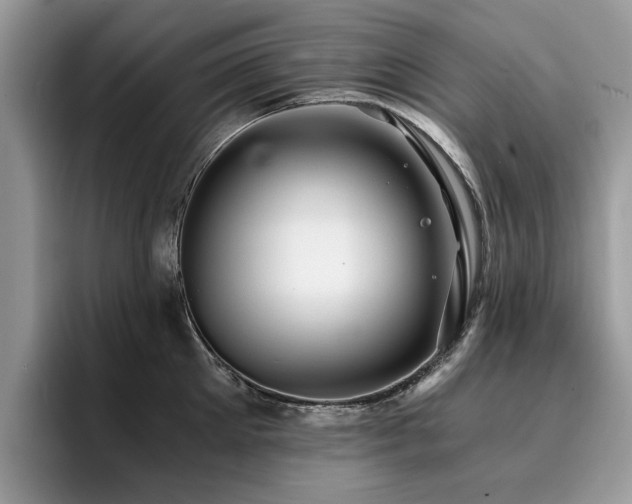 X0000096200905200801181338