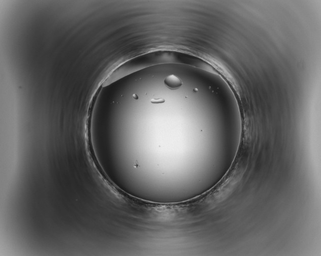 X0000096200906200801181338