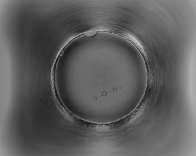 X0000096200907200801181338