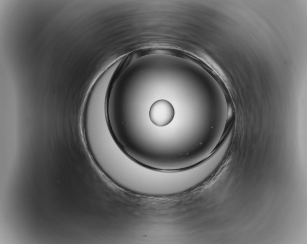 X0000096200909200801181338