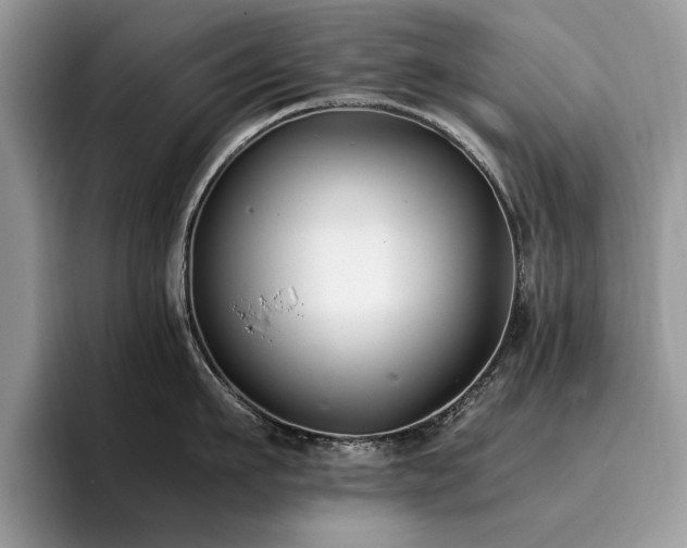 X0000096200911200801181338