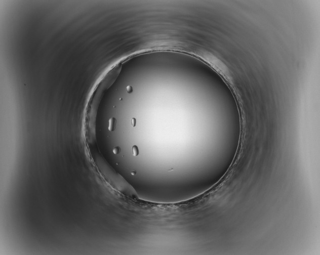 X0000096200912200801181338