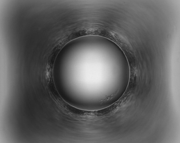 X0000096200914200801181338