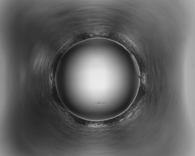 X0000096200915200801181338