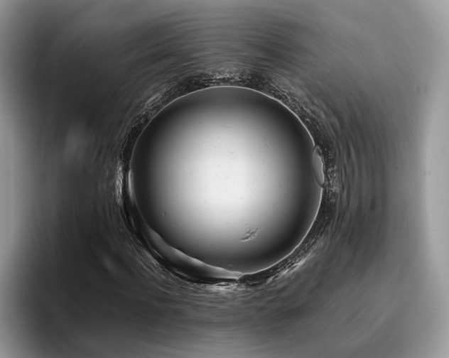 X0000096200916200801181338