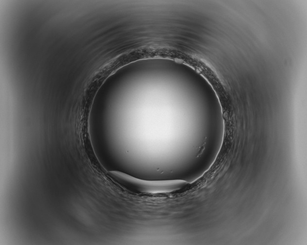 X0000096200919200801181338
