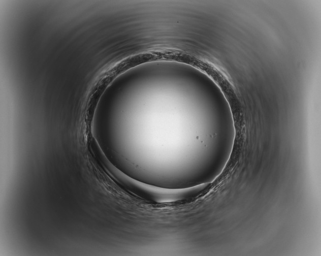X0000096200920200801181338