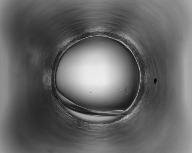 X0000096200921200801181338