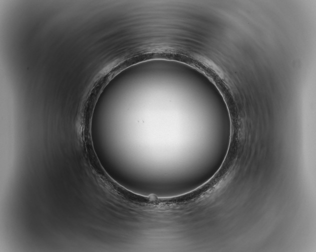 X0000096200922200801181338