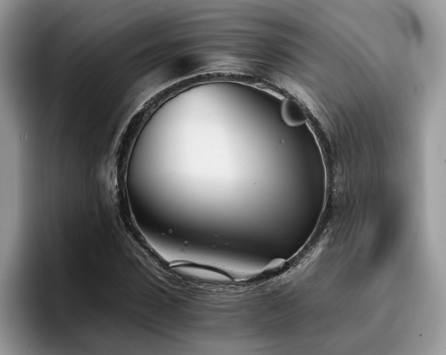 X0000096200923200801181338