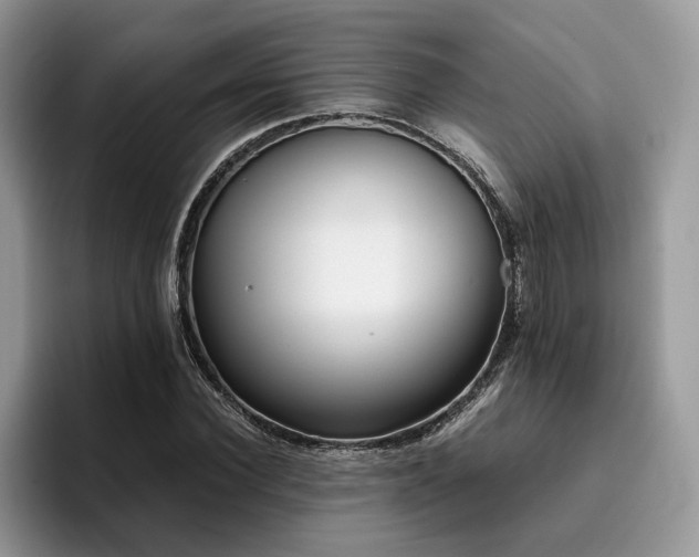 X0000096200924200801181338
