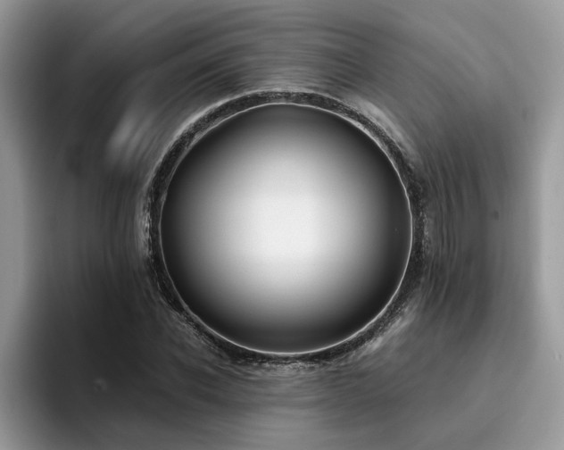 X0000096200926200801181338